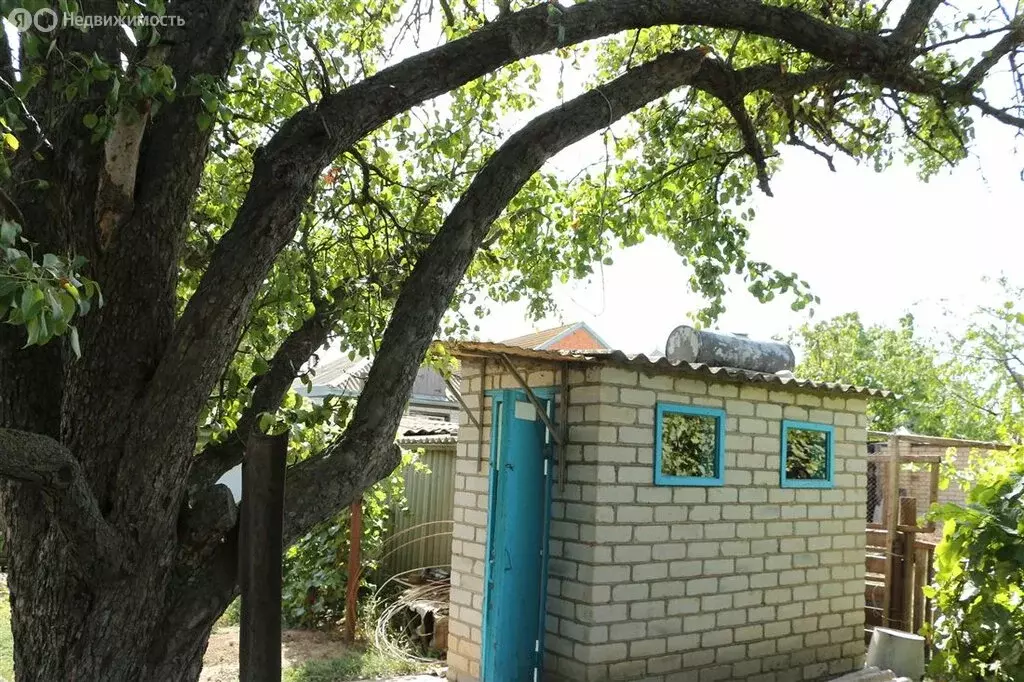 Дом в Ставропольский край, Апанасенковский муниципальный округ, село ... - Фото 0