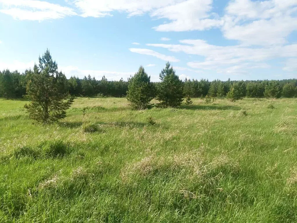 Участок в Свердловская область, Каменский муниципальный округ, село ... - Фото 0