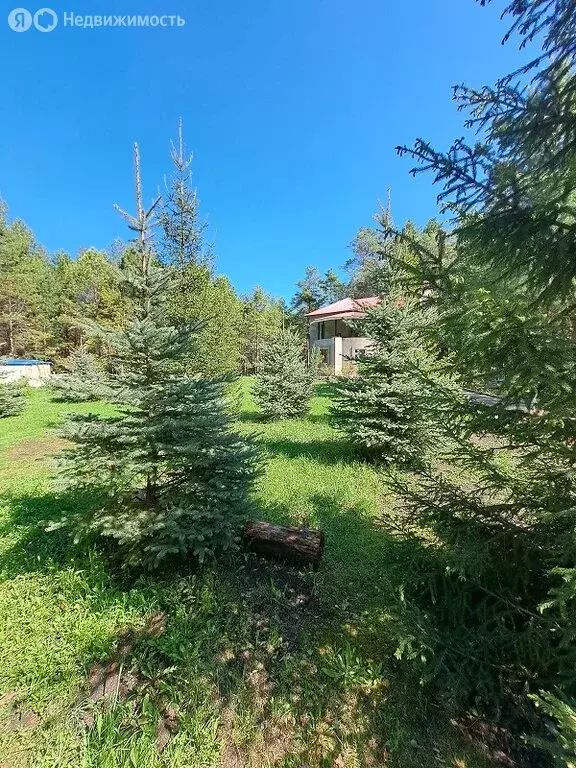 Дом в Грачёвка, Центральная улица, 36 (230 м) - Фото 1