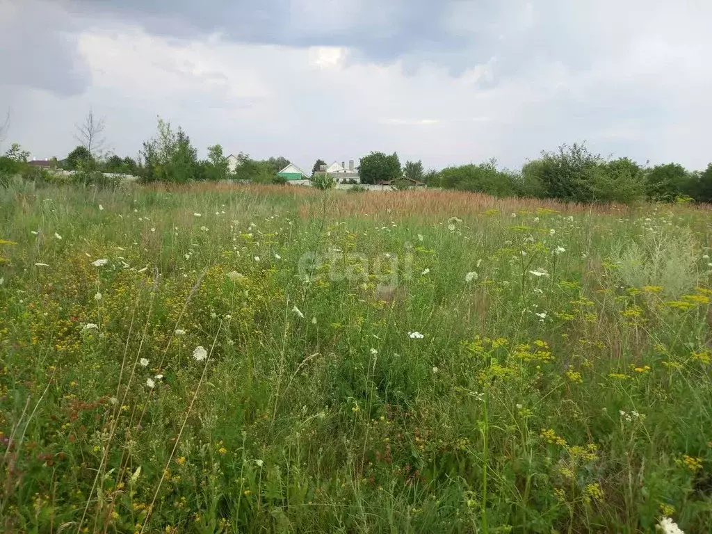 Участок в Белгородская область, Губкинский городской округ, с. Аверино ... - Фото 0