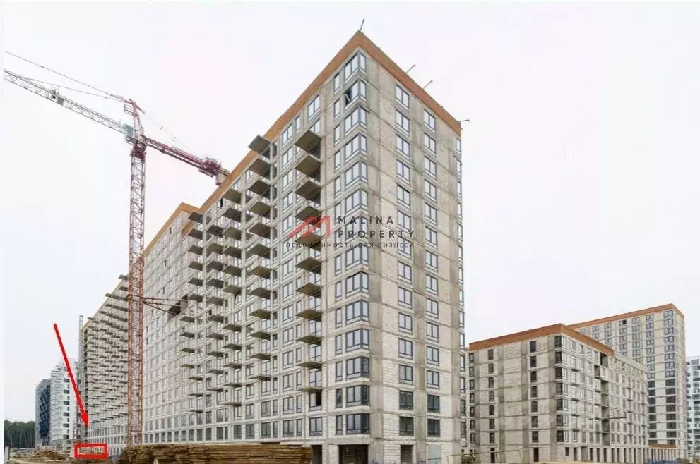 Торговая площадь в Московская область, Мытищи Мытищи Парк жилой ... - Фото 1