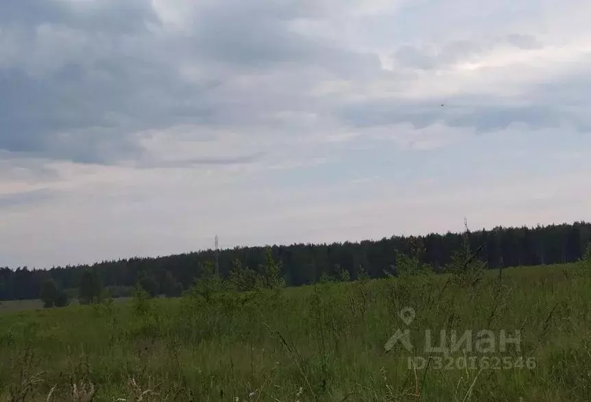 Участок в Московская область, Дмитровский муниципальный округ, д. ... - Фото 0