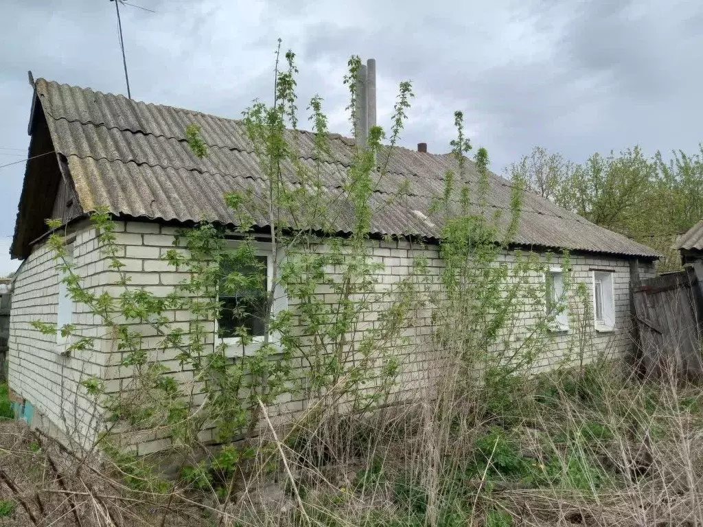 Дом в Белгородская область, Губкинский городской округ, с. Богословка ... - Фото 1