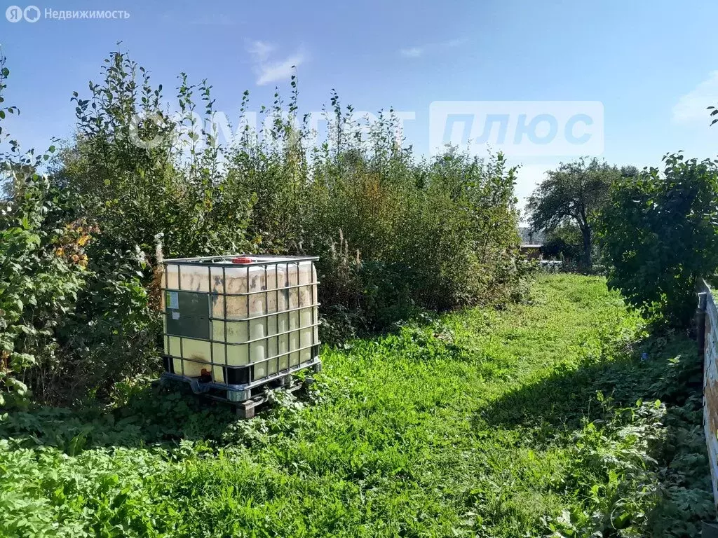 Участок в Вологодская область, Шекснинский муниципальный округ, ... - Фото 0