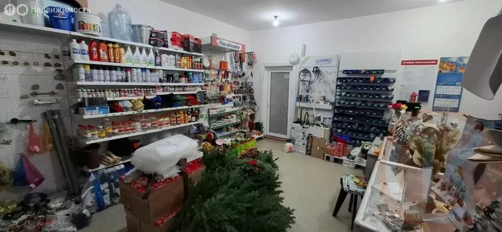 Помещение свободного назначения (41 м) - Фото 1