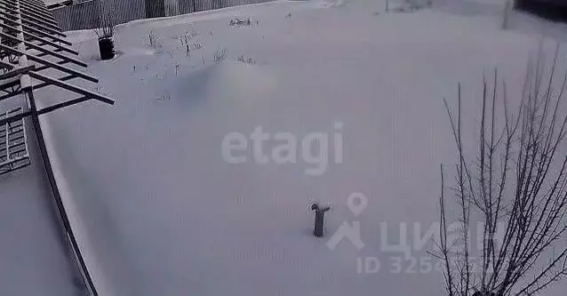 Участок в Оренбургская область, Оренбургский район, пос. Соловьевка ... - Фото 1