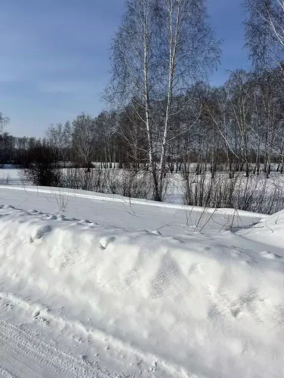 Участок в Новосибирская область, Мошковский район, Радуга-2 СНТ 13 ... - Фото 1