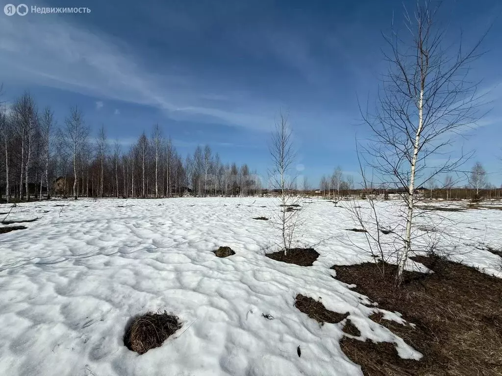 Участок в Республика Марий Эл, городской округ Йошкар-Ола, деревня ... - Фото 2