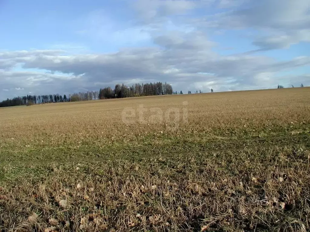 Участок в Крым, Кировский район, Яркополенское с/пос, с. Софиевка ул. ... - Фото 0