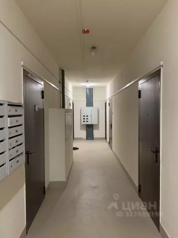 Студия Московская область, Люберцы городской округ, д. Пехорка ул. ... - Фото 1