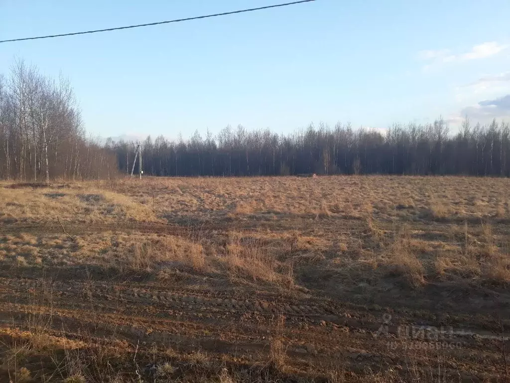 Участок в Смоленская область, Смоленский муниципальный округ, д. ... - Фото 1