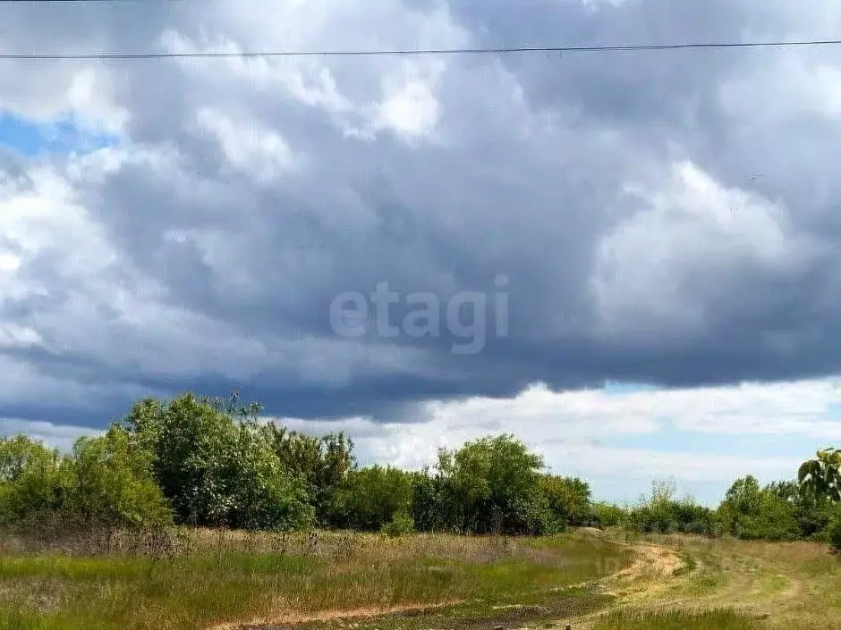 Участок в Крым, Кировский район, Синицынское с/пос, с. Васильковое ул. ... - Фото 0