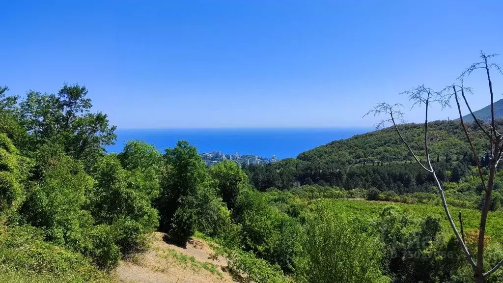 Участок в Крым, Алушта городской округ, с. Нижнее Запрудное ул. ... - Фото 0