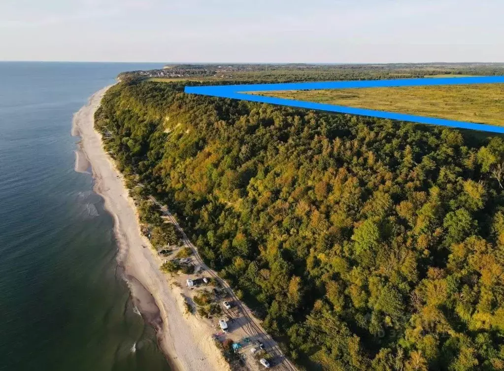 Участок в Калининградская область, Янтарный городской округ, пос. ... - Фото 2