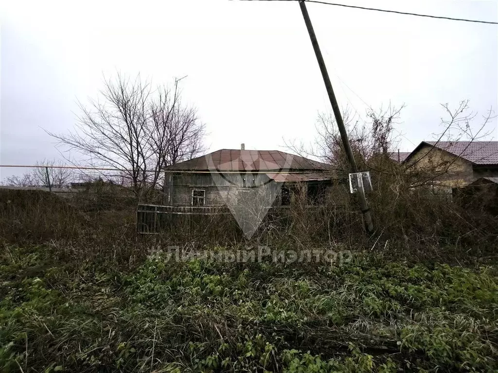 Дом в Рязанская область, Шацкий район, Казачинское с/пос, с. Казачья ... - Фото 1