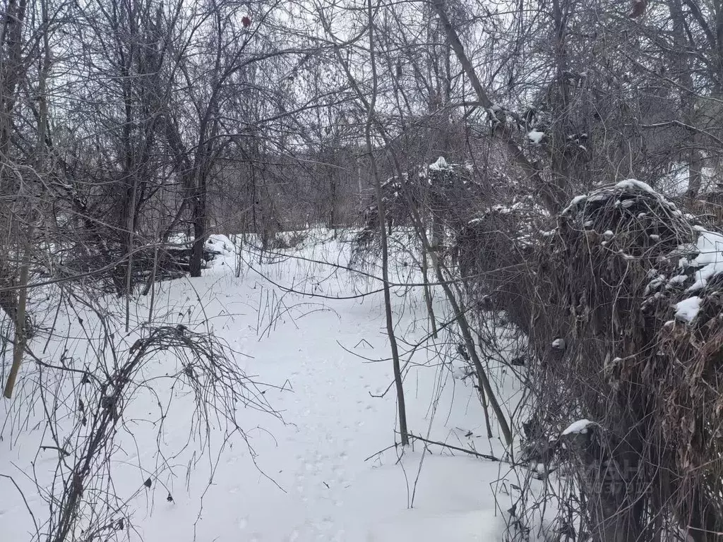 Участок в Белгородская область, Алексеевский муниципальный округ, ... - Фото 2