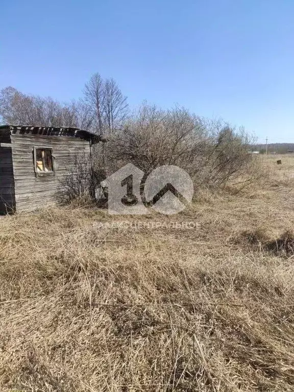 Участок в Новосибирская область, Новосибирский район, с. Ярково ул. ... - Фото 1
