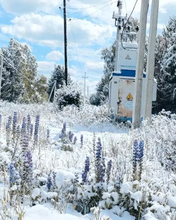 Участок в Владимирская область, Селивановский муниципальный округ, ... - Фото 2