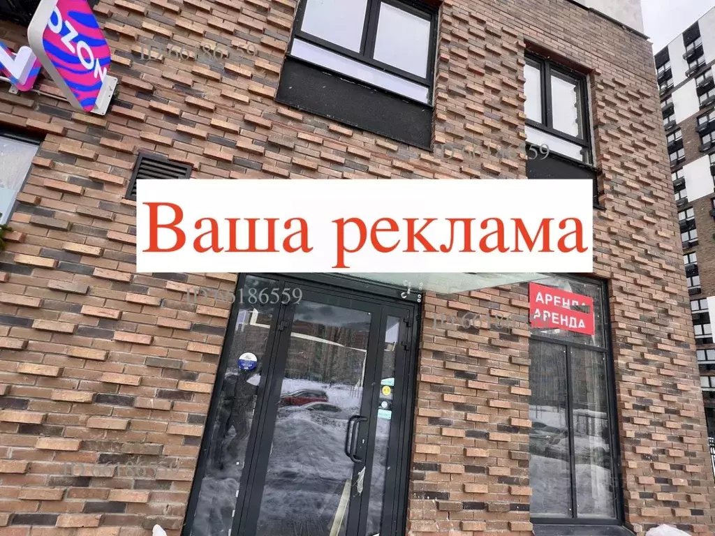 Торговая площадь в Московская область, Ленинский городской округ, ... - Фото 2