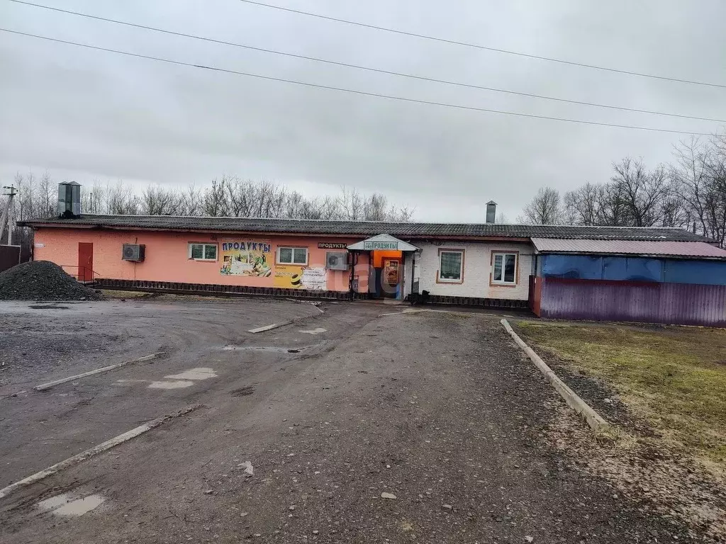 Торговая площадь в Смоленская область, Сафоново ул. Районная . - Фото 0
