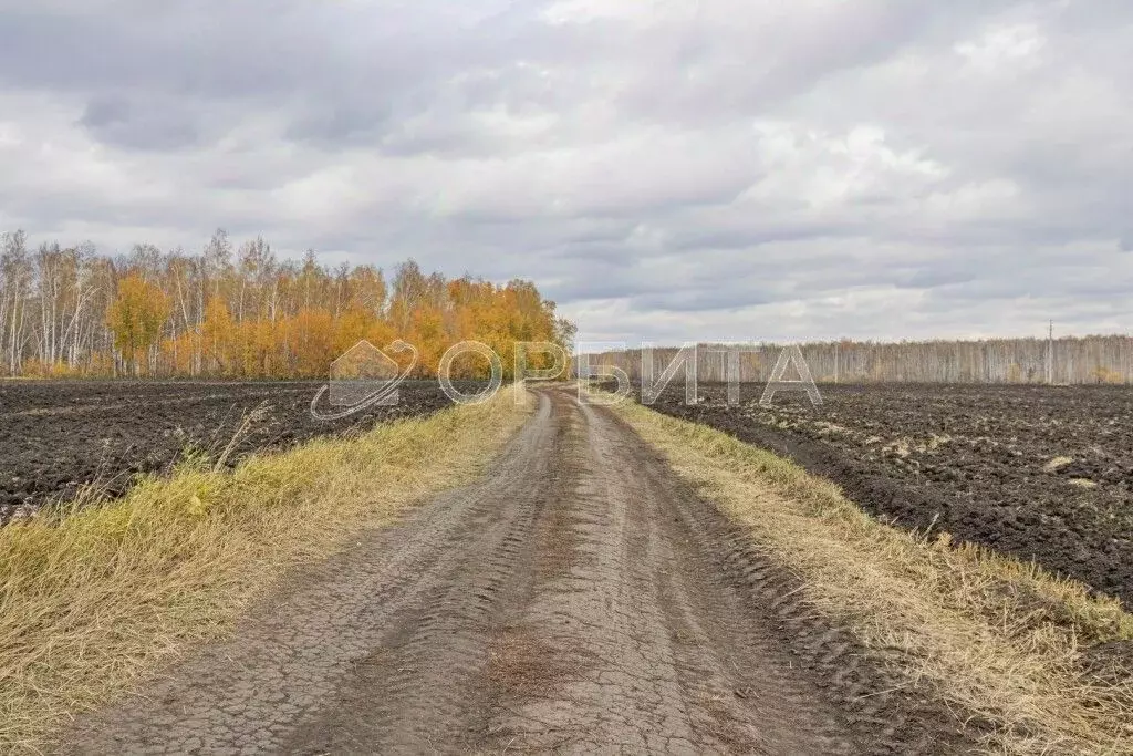 Участок в Тюменская область, Тюменский район, с. Горьковка Сибирская ... - Фото 0