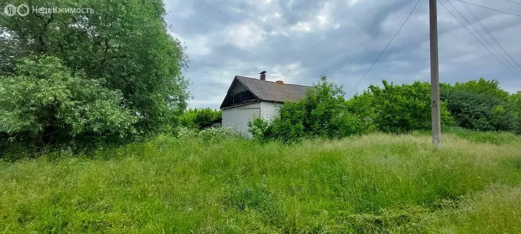 Дом в село Новосолдатка, Первомайская улица, 24 (46 м) - Фото 0