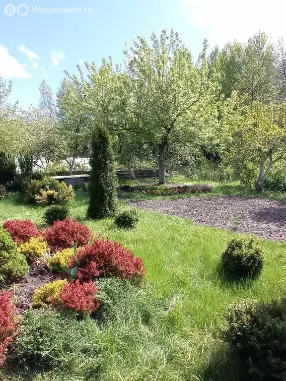 Дом в Фокино, ТСН Зелёный бор (50 м) - Фото 1
