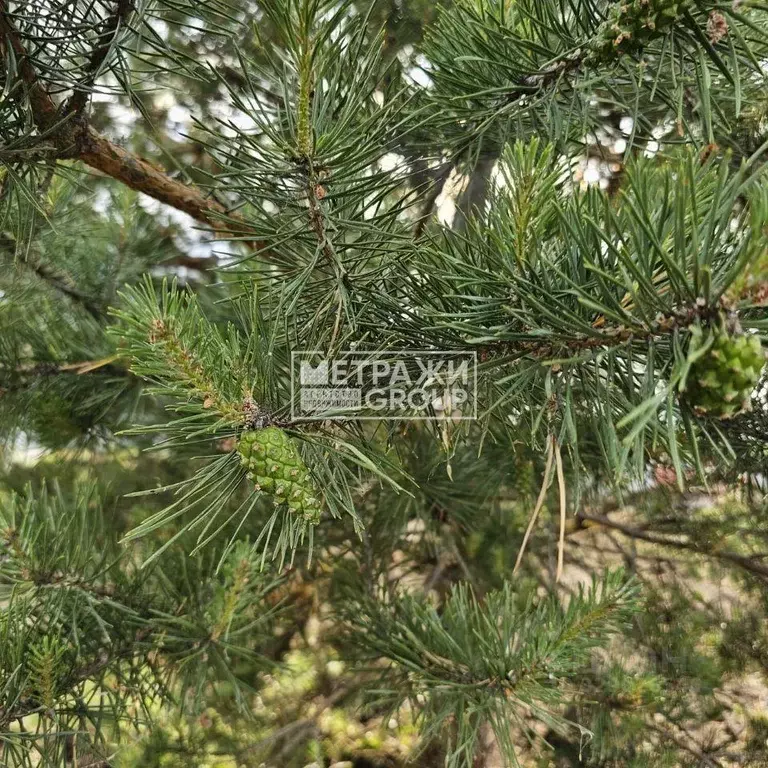 Участок, 15 сот., 0 - Фото 2