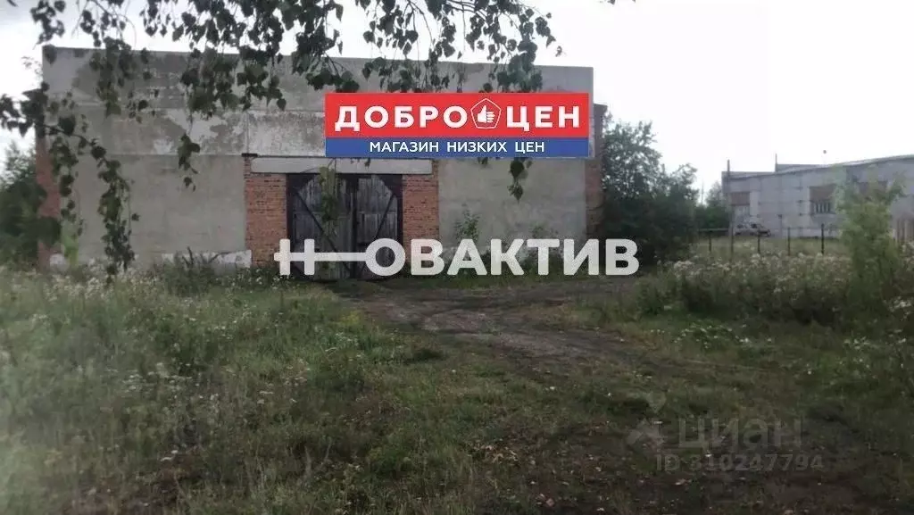 Помещение свободного назначения в Омская область, Горьковское рп ул. ... - Фото 0