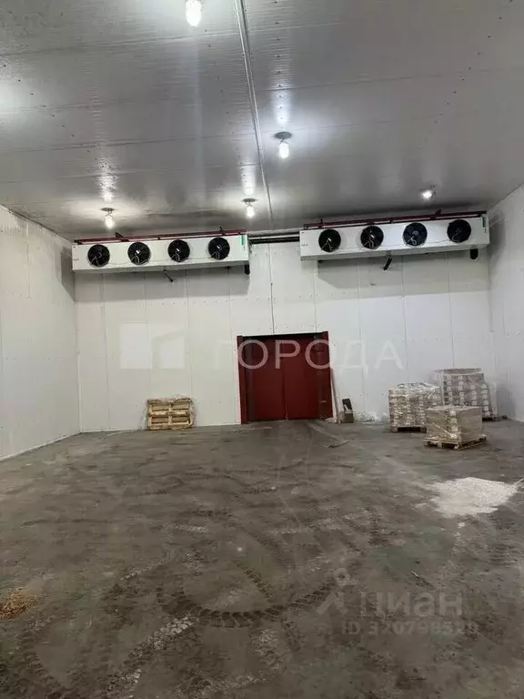 Склад в Новосибирская область, Новосибирск ул. Аксенова, 32 (250 м) - Фото 1