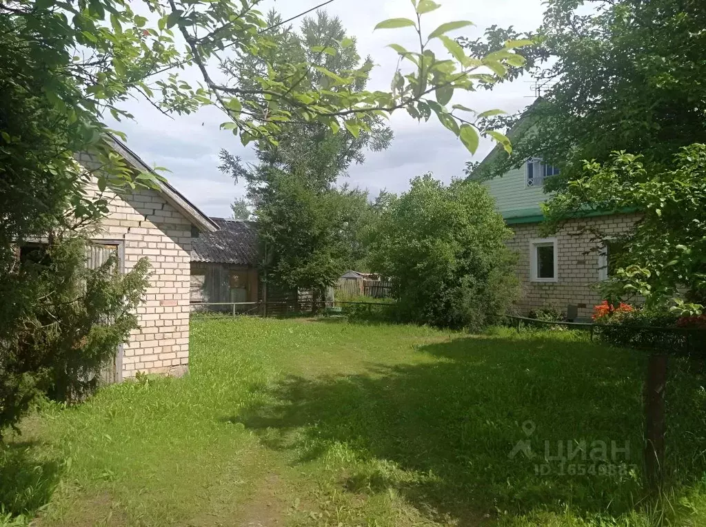 Купить Дом В Дедовичском Районе Псковской Области