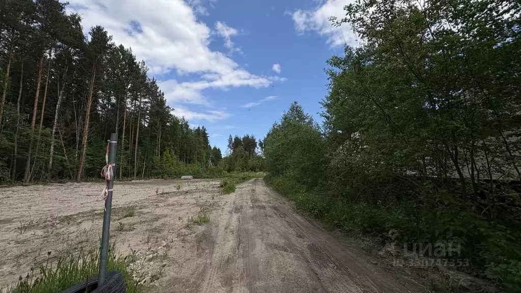 Участок в Ленинградская область, Шлиссельбург Кировский район,  (8.0 ... - Фото 1