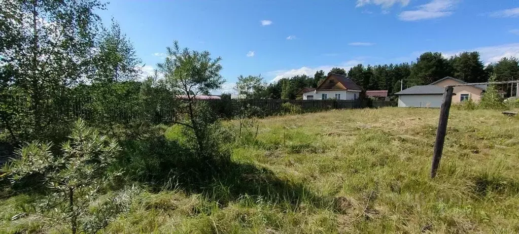 Участок в Владимирская область, Петушинский муниципальный округ, д. ... - Фото 2