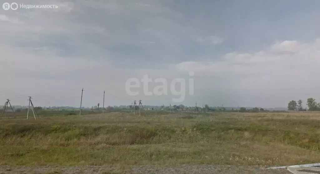 Участок в Калининградская область, Багратионовский муниципальный ... - Фото 1