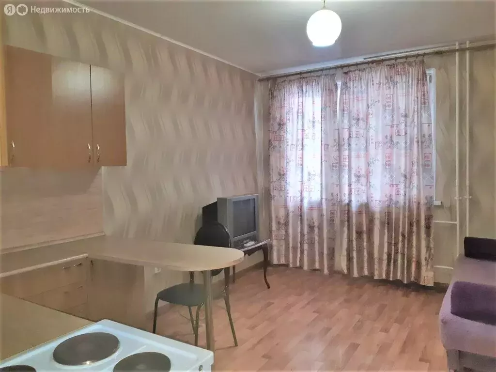 Квартира-студия: село Засечное, Олимпийская улица, 2 (28 м) - Фото 1