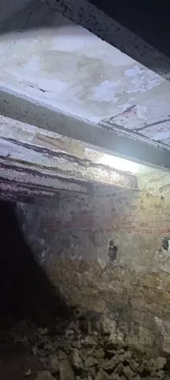 Помещение свободного назначения в Тамбовская область, Тамбов ул. ... - Фото 1