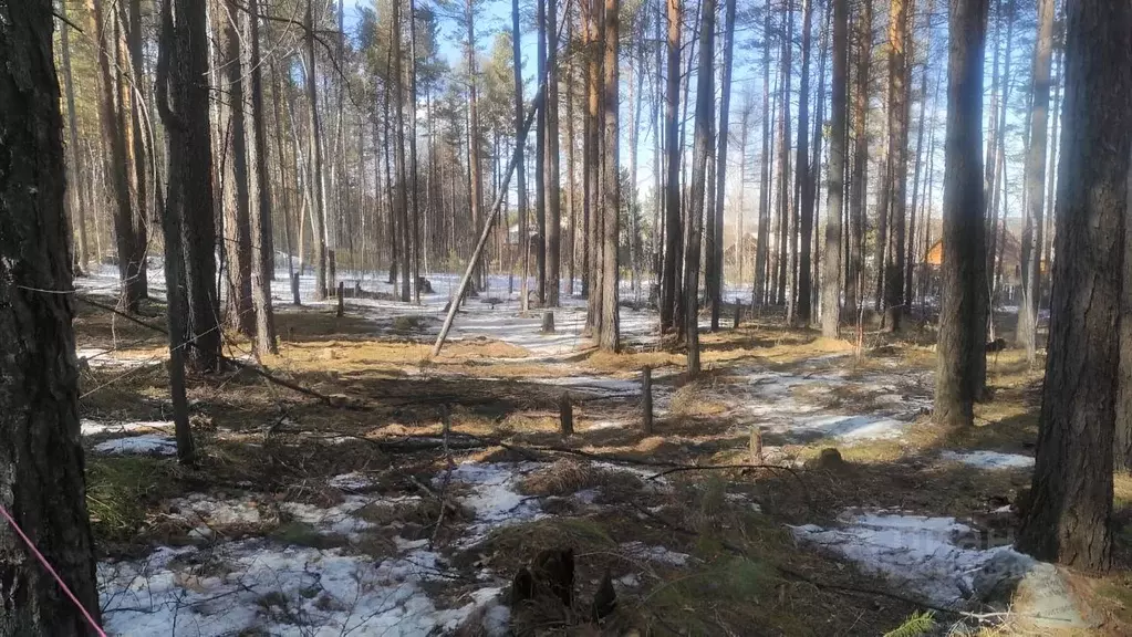 Участок в Иркутская область, Усть-Илимский район, Родник СНТ  (10.0 ... - Фото 1