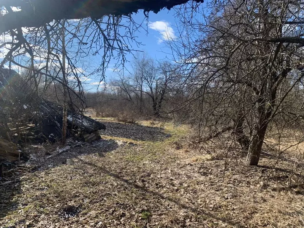 Участок в Московская область, Клин городской округ, д. Бортниково 7 ... - Фото 1