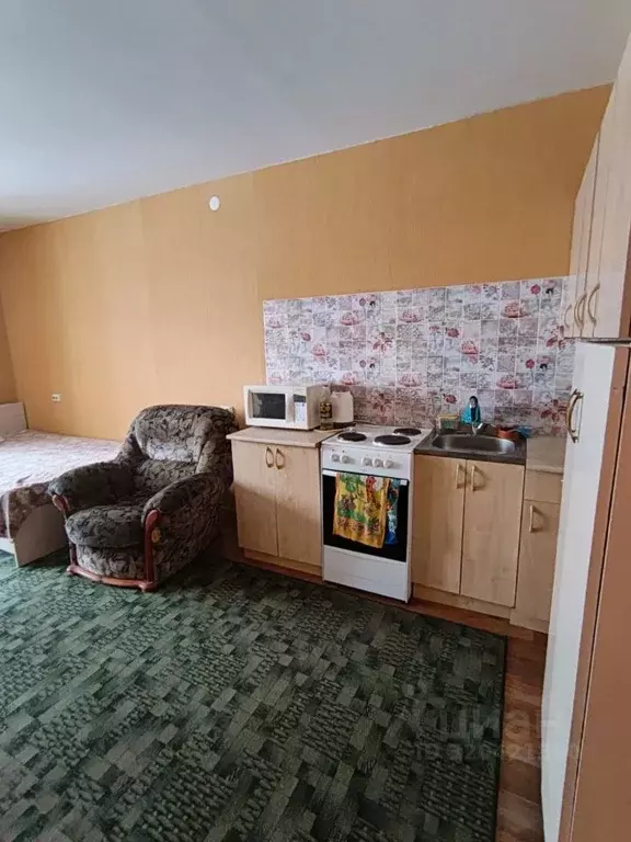 Студия Алтайский край, Барнаул тракт Павловский, 303 (34.0 м) - Фото 1