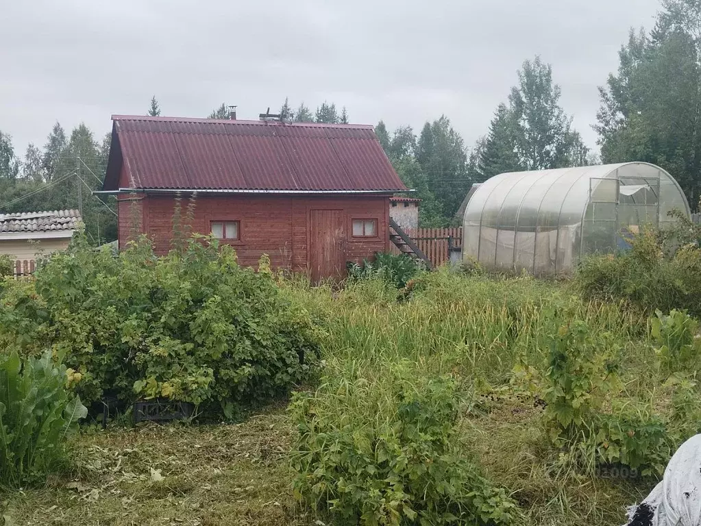 Дом в Архангельская область, Приморский муниципальный округ, Связист ... - Фото 0