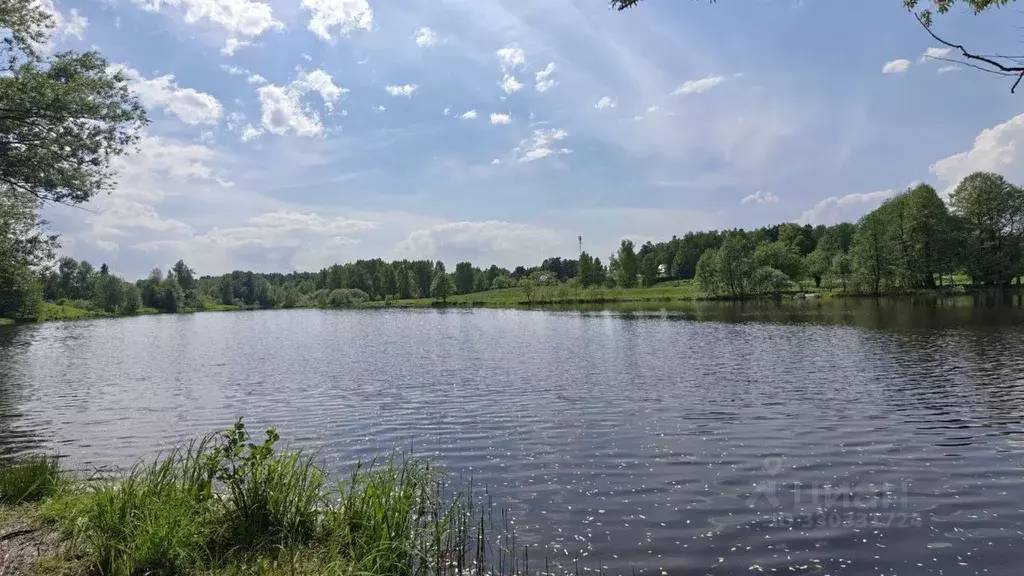 Дом в Московская область, Щелково городской округ, д. Сутоки ул. ... - Фото 2