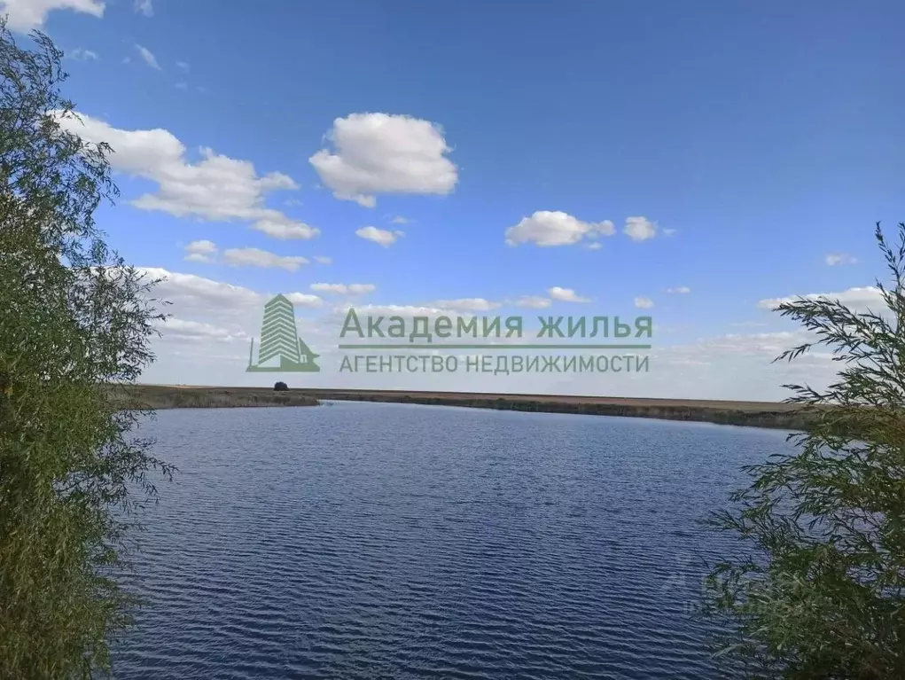 Участок в Саратовская область, Новоузенск  (3000.0 сот.) - Фото 1