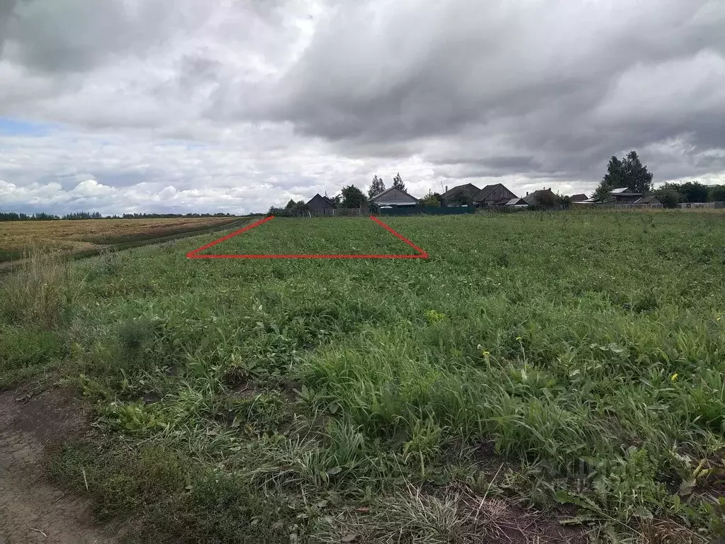 Участок в Нижегородская область, Арзамас городской округ, с. Семеново ... - Фото 1