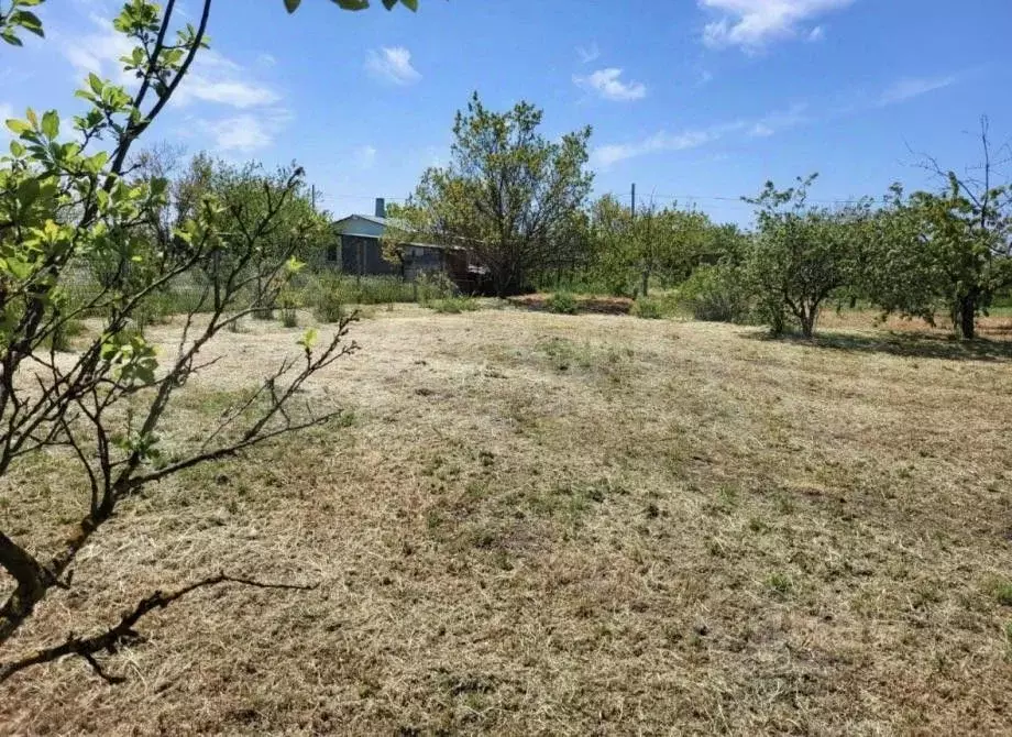 Участок в Крым, Симферопольский район, Трудовское с/пос, Пневматика-2 ... - Фото 1