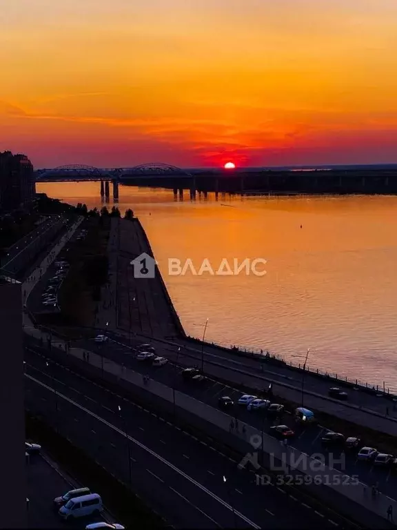 1-к кв. Нижегородская область, Нижний Новгород Волжская наб., 19 (40.6 ... - Фото 1