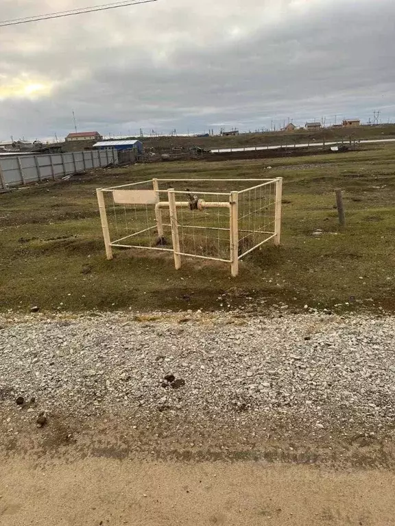 Участок в Саха (Якутия), Якутск городской округ, с. Тулагино  (10.0 ... - Фото 2