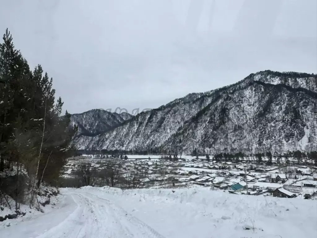 Дом в Алтай, Чемальский район, с. Чепош ул. Кучияк (22 м) - Фото 1