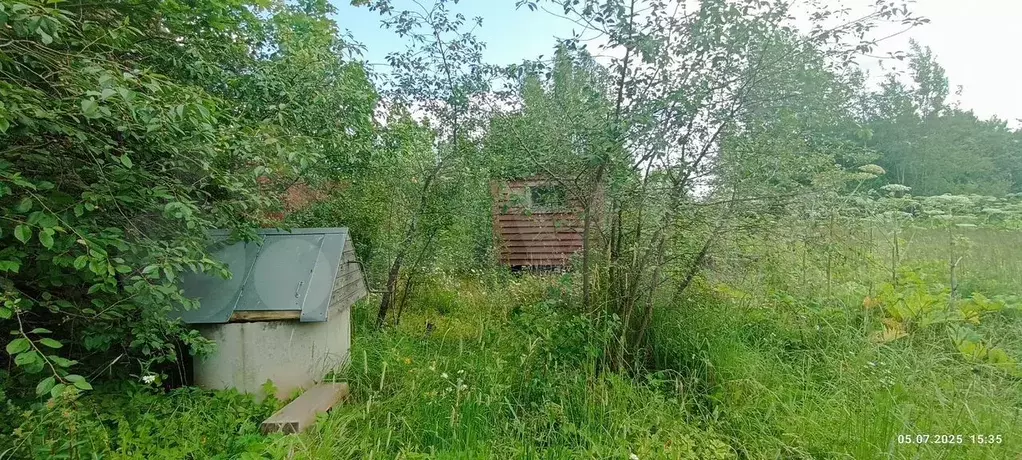 Участок 11 сот. (ИЖС) - Фото 1