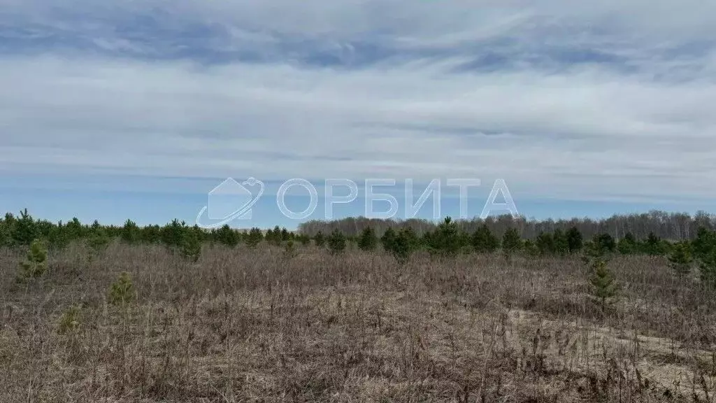 участок в тюменская область, тюменский район, с. горьковка (10.0 . - Фото 0