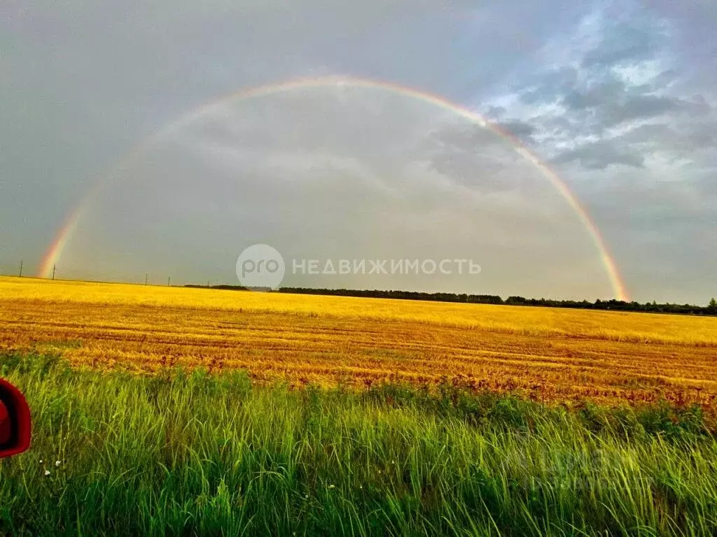 Участок в Рязанская область, Рыбновский район, Ходынинское с/пос, с. ... - Фото 0